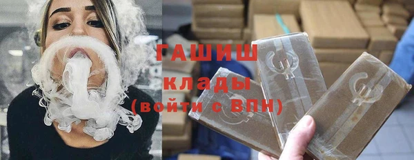 индика Володарск