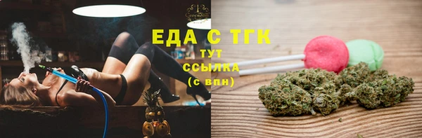 индика Володарск