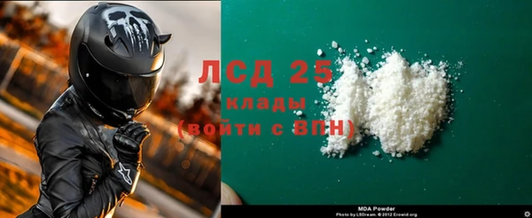 индика Володарск
