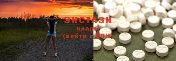 индика Володарск