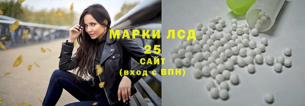 индика Володарск