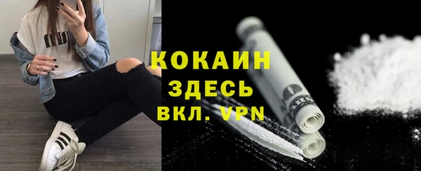 индика Володарск