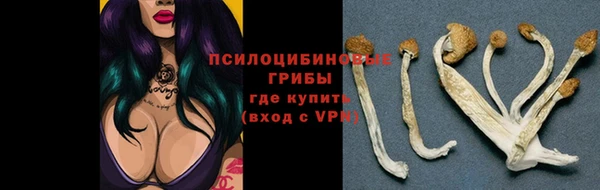 индика Володарск