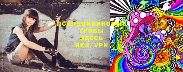 стаф Волоколамск
