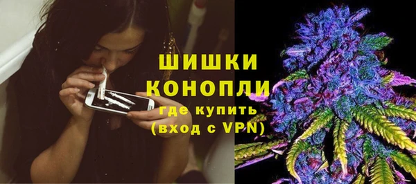 индика Володарск