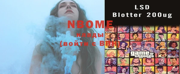 индика Володарск