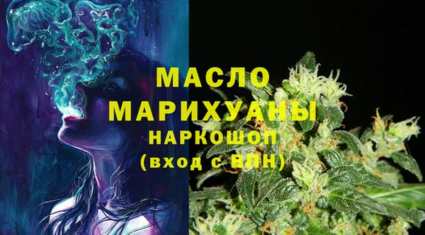 индика Володарск