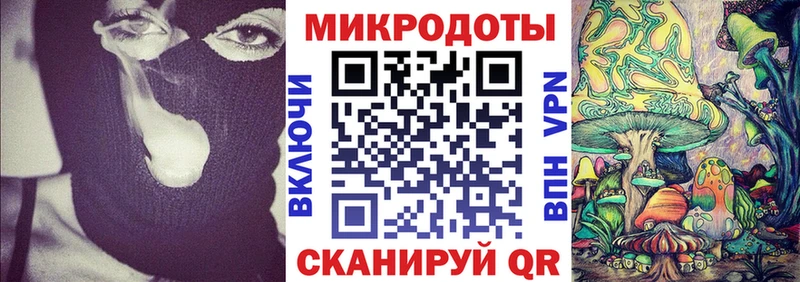 Купить где  Макарьев  Галлюциногенные грибы MAGIC MUSHROOMS 